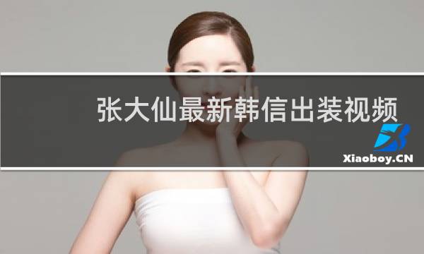 张大仙最新韩信出装视频