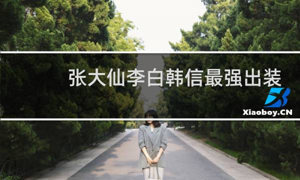 张大仙李白韩信最强出装