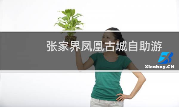 张家界凤凰古城自助游