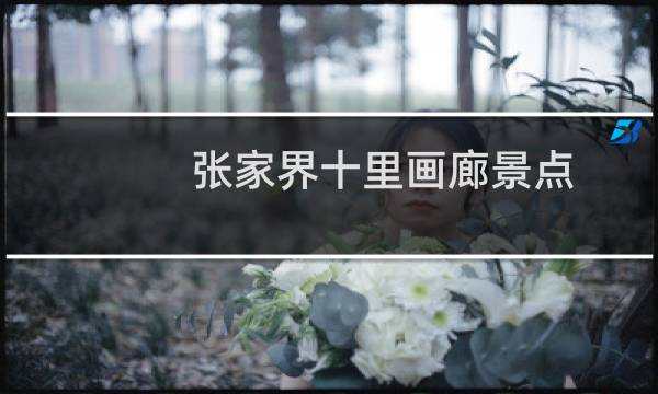 张家界十里画廊景点