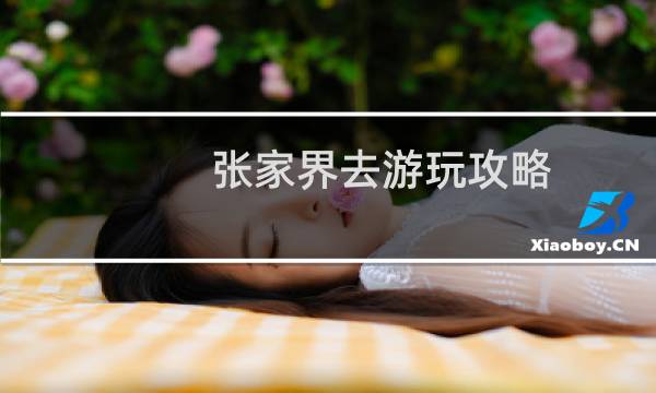 張家界去游玩攻略