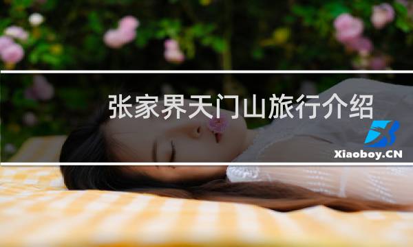 张家界天门山旅行介绍