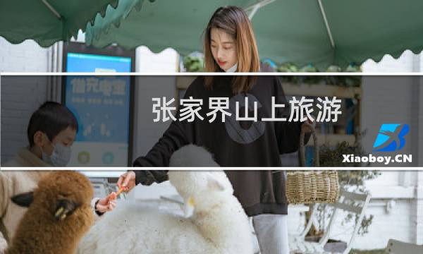 张家界山上旅游