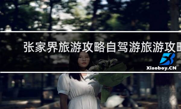张家界旅游攻略自驾游旅游攻略