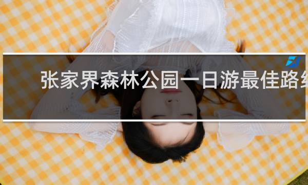 张家界森林公园一日游最佳路线