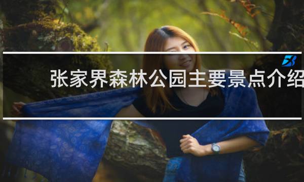 张家界森林公园主要景点介绍