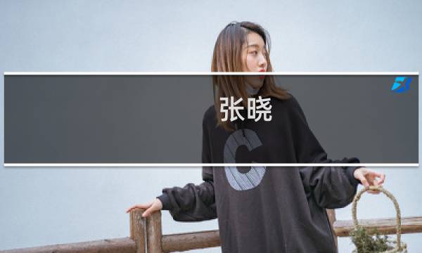 张晓 画家 价格