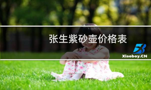 张生紫砂壶价格表
