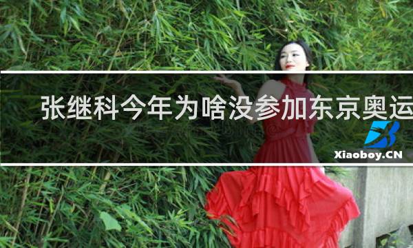 张继科今年为啥没参加东京奥运会
