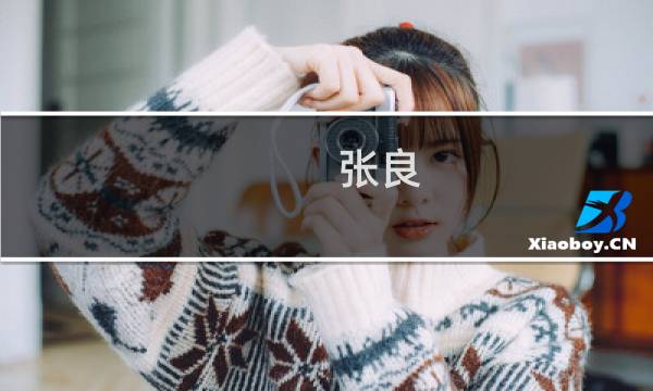 张良 攻略