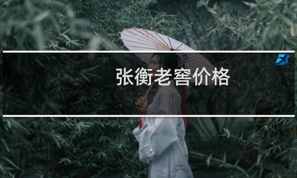 张衡老窖价格