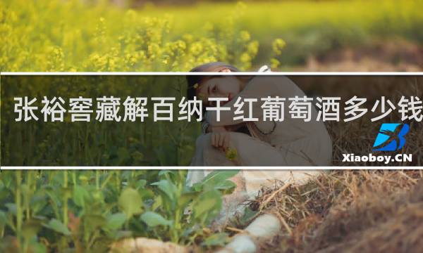 张裕窖藏解百纳干红葡萄酒多少钱一瓶