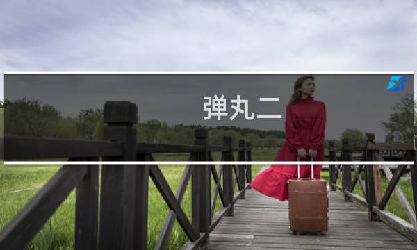 弹丸二 攻略