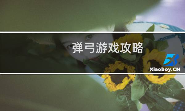 弹弓游戏攻略