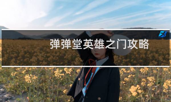 弹弹堂英雄之门攻略