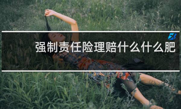 强制责任险理赔什么什么肥