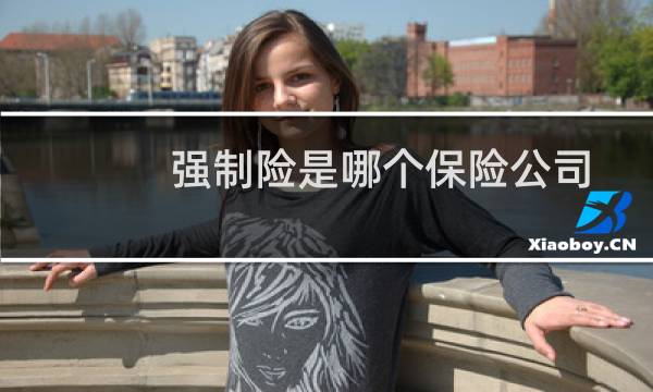 强制险是哪个保险公司