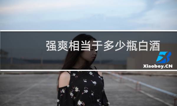 强爽相当于多少瓶白酒