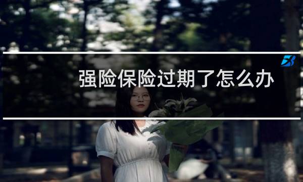 强险保险过期了怎么办
