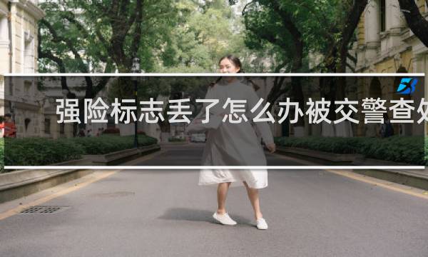 强险标志丢了怎么办被交警查处