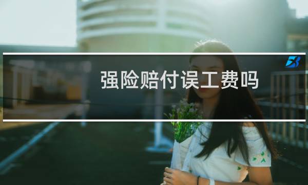 强险赔付误工费吗