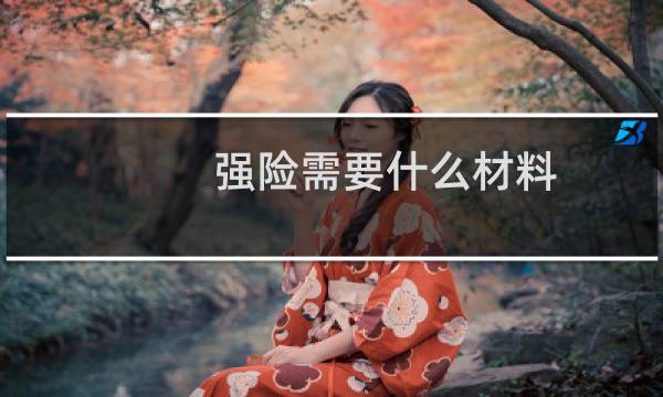 强险需要什么材料