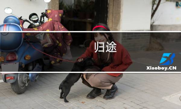 归途 攻略