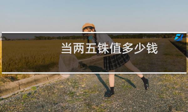 当两五铢值多少钱