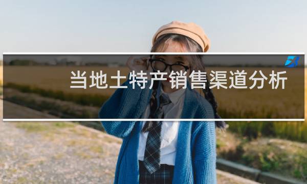 当地土特产销售渠道分析