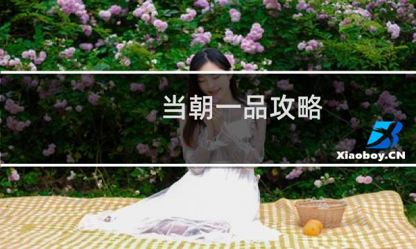 当朝一品攻略