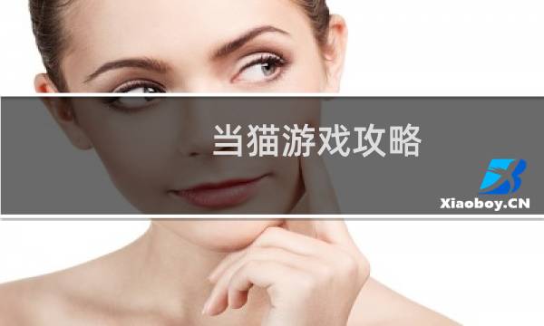 当猫游戏攻略