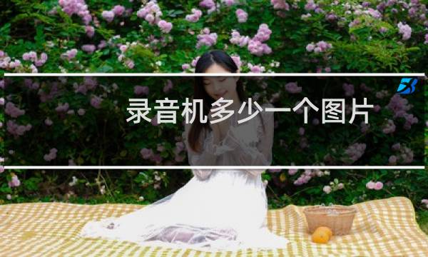录音机多少一个图片