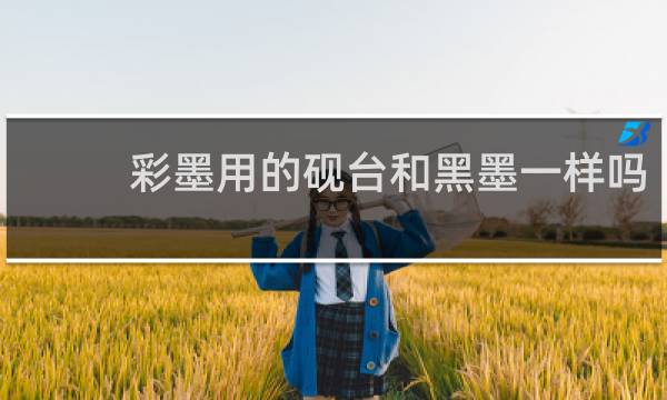 彩墨用的砚台和黑墨一样吗
