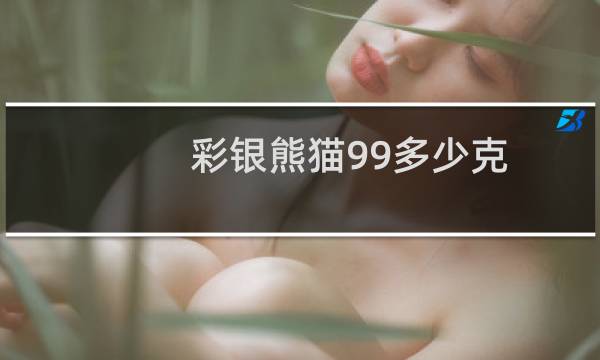 彩银熊猫99多少克