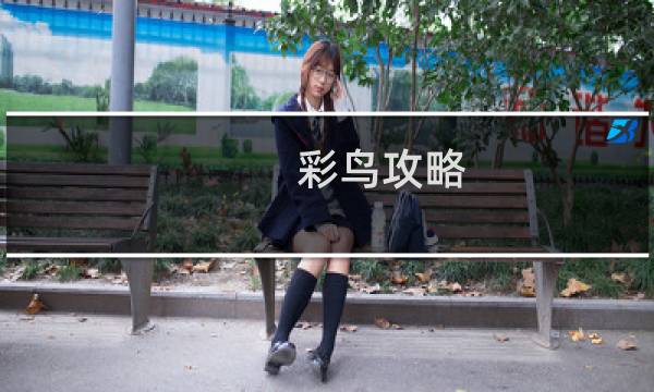 彩鸟攻略