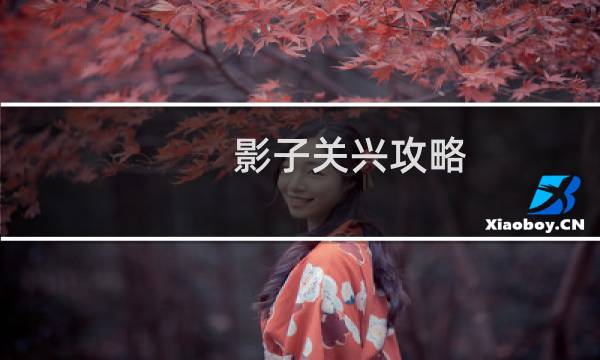 影子关兴攻略