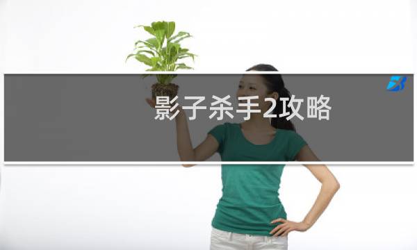 影子杀手2攻略