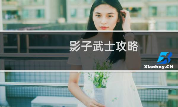 影子武士攻略