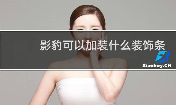 影豹可以加装什么装饰条