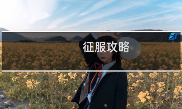 征服攻略 百度云