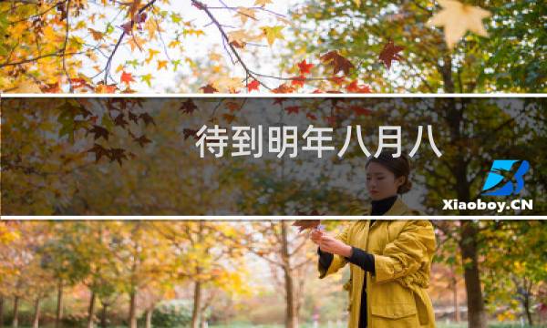 待到明年八月八