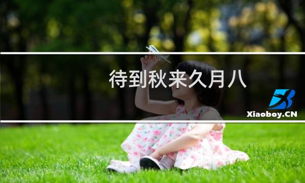 待到秋来久月八