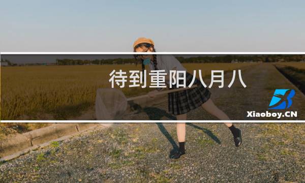 待到重阳八月八