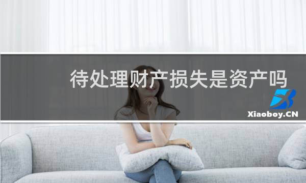 待处理财产损失是资产吗