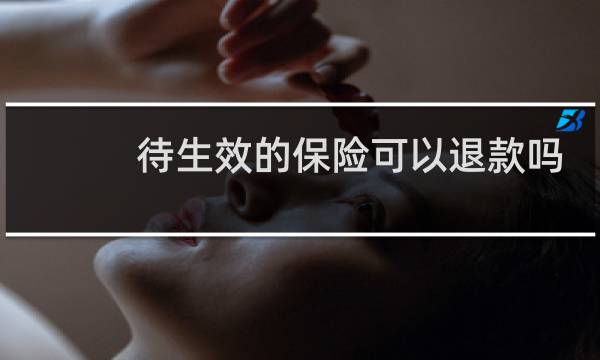 待生效的保险可以退款吗