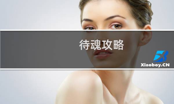 待魂攻略