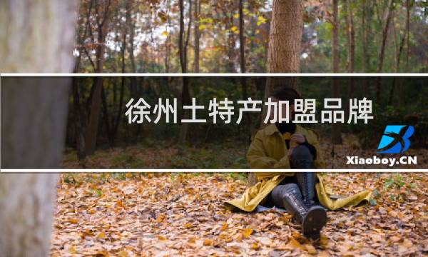 徐州土特产加盟品牌