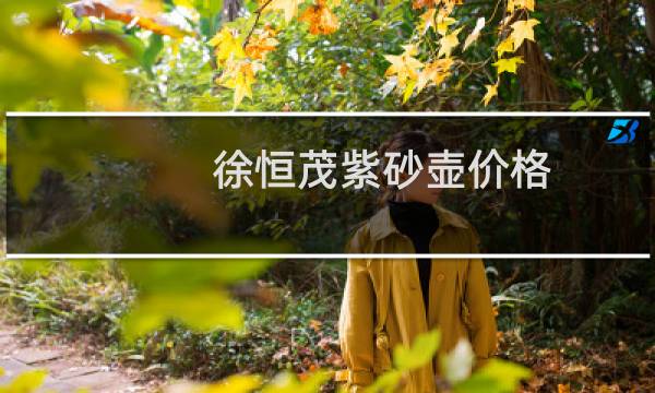 徐恒茂紫砂壶价格