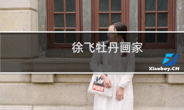 徐飞牡丹画家 价格