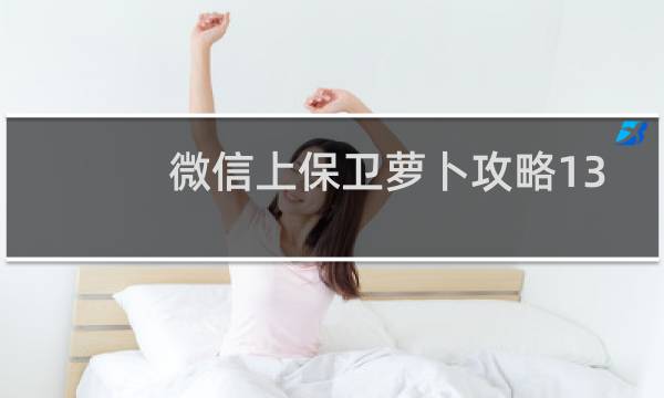 微信上保卫萝卜攻略13